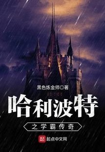 (HP同人)哈利波特之学霸传奇