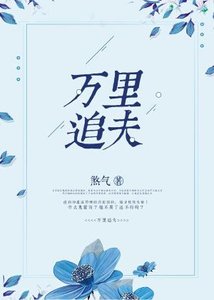 《萬里追夫》