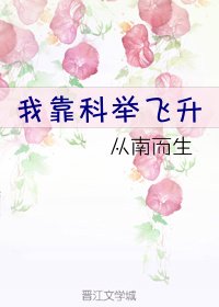 《我靠科舉飛昇》