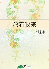 放着我来