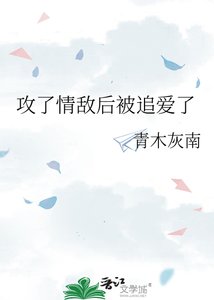 《攻了情敌后被追爱了》